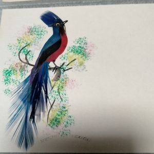 Vintage Mexican Folk Art: Bird Paintings made with Feathers Est. 1940s